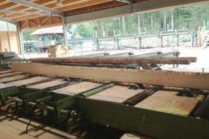 Holz wird auf Maschine verarbeitet