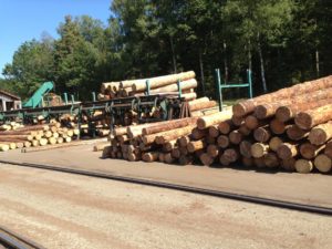 Holzstämme vor einer Maschine