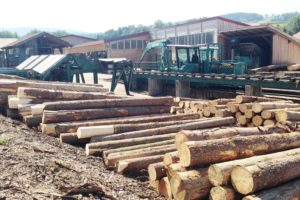 Holzstämme im Vordergrund, dahinter sind die Maschinen