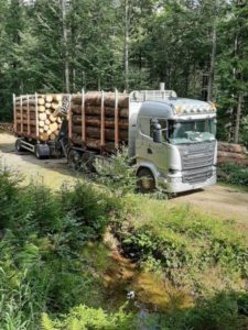 LKW mit geladenem Rundholz